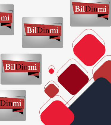 bildinmi.com
