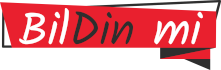 bildinmi logo